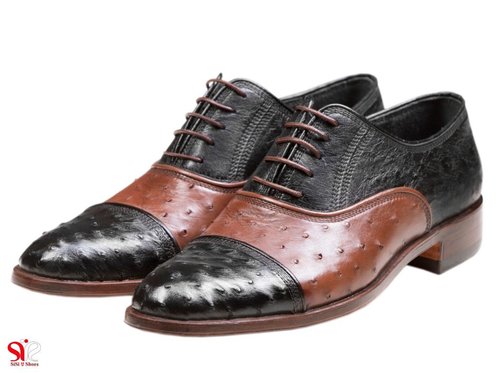 عکس مدل کفش مجلسی مردانه با چرم شترمرغ مشکی و قهوه ای شایان