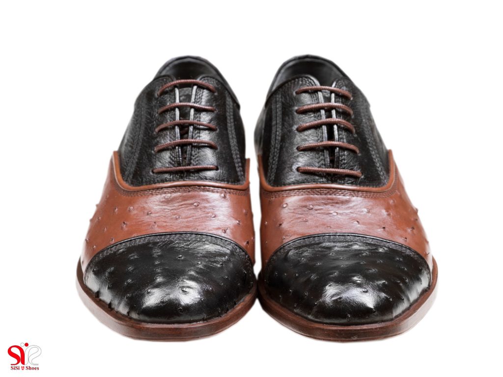 ترکیب رنگ مشکی و قهوه ای برای مدل شایان کفش مجلسی مردانه