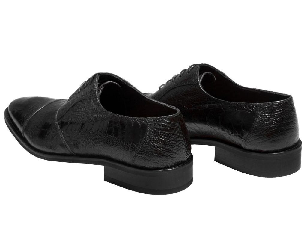 پاشنه 3 سانتی متری کفش مردانه مدل پالادیوم سی سی
