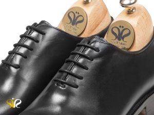 کفش چرم مردانه با طرح کلاسیک ایتالیایی مدل آرگون