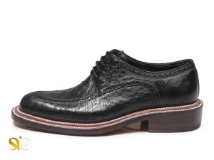 کفش مردانه برلیان وی‌آی‌پی