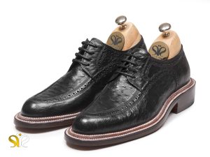کفش مردانه برلیان وی‌آی‌پی