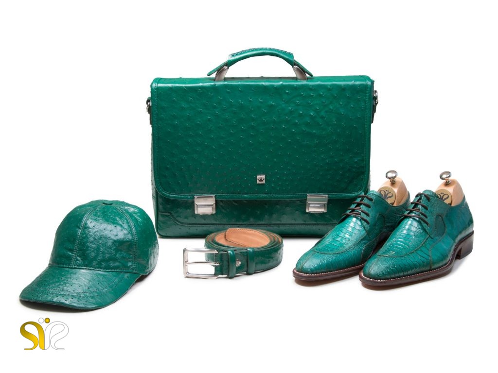 ست کیف و کفش و کمربند و کلاه چرم رنگ سبز