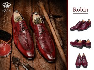 رابین زرشکی