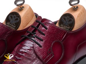 چرم کروکودیلی مانند