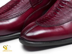 ساق پای شترمرغ