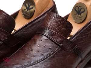 کفش چرم شترمرغ سی سی