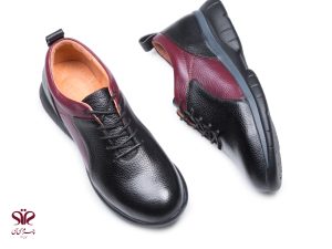 مدل آنیس سی سی