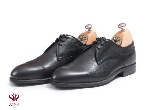 کفش چرم مردانه مدل گیوا