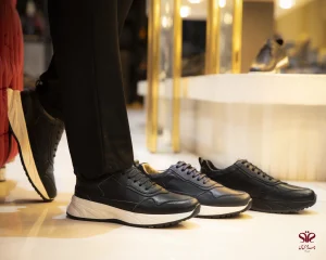 کفش مدل اریکسون